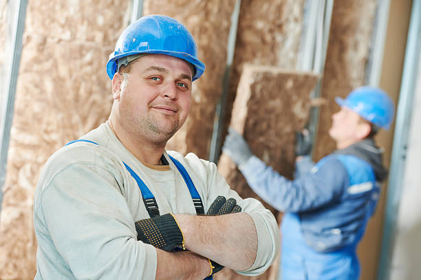 Best Insulation Installation Services in Breezy Point, MN